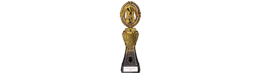 MAVERICK TOWER MARTIAL ARTS LEGEND TROPHY - 4 SIZES - 23CM - 31.5CM MAVERICK TOWER MARTIAL ARTS LEGEND TROPHY - 4 SIZES - 23CM - 31.5CM